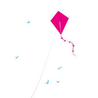Kite